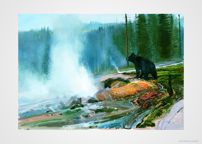 Coleman - Yellowstone Curiosity