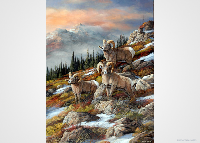 Swanson - Rocky Mountain Royalty