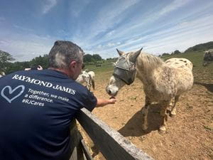 Volunteer feeding a horse at Maryland Horse Rescue