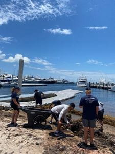 Volunteers clean up debris on the shoreline