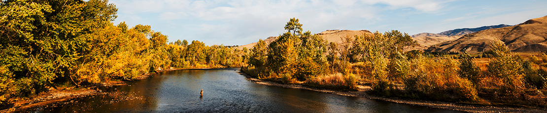 Boise Skyline