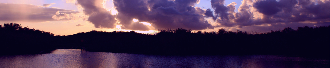 Boynton Beach Branch Blue lagoon.jpg