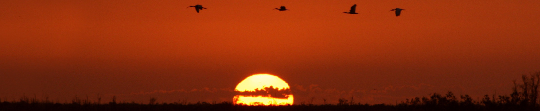 Boynton Beach Branch Sunset
