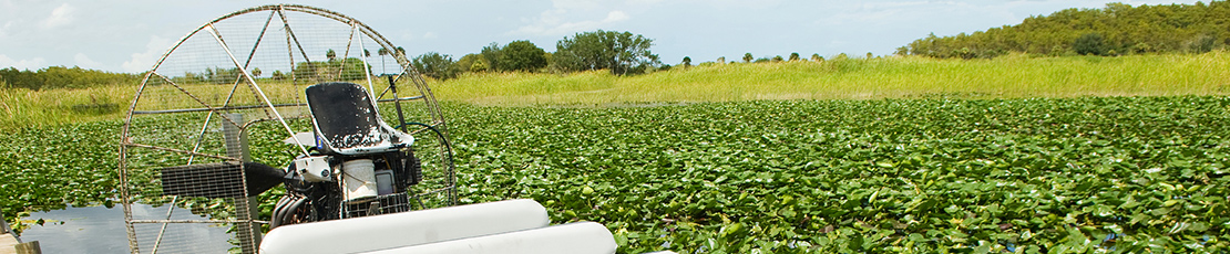 The Miami Everglades located in Broward County