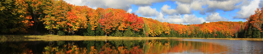 autumn view